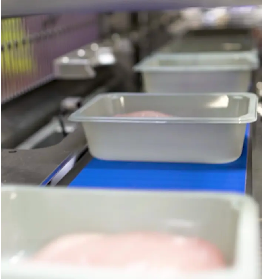 TT-G Tray Sealing Machine
